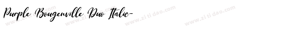 Purple Bougenville Duo Italic字体转换